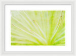 Load image into Gallery viewer, Botanicals Points - Framed Print
