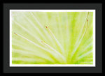 Load image into Gallery viewer, Botanicals Points - Framed Print
