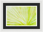 Load image into Gallery viewer, Botanicals Points - Framed Print
