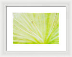 Load image into Gallery viewer, Botanicals Points - Framed Print

