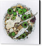 Load image into Gallery viewer, Cacti Collection 1 - Canvas Print
