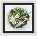 Load image into Gallery viewer, Cacti Collection 1 - Framed Print
