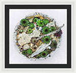 Load image into Gallery viewer, Cacti Collection 1 - Framed Print
