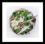 Load image into Gallery viewer, Cacti Collection 1 - Framed Print
