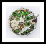 Load image into Gallery viewer, Cacti Collection 1 - Framed Print
