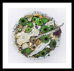 Load image into Gallery viewer, Cacti Collection 1 - Framed Print
