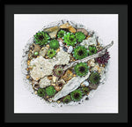 Load image into Gallery viewer, Cacti Collection 1 - Framed Print

