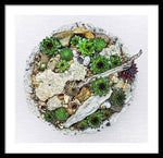 Load image into Gallery viewer, Cacti Collection 1 - Framed Print
