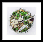 Load image into Gallery viewer, Cacti Collection 1 - Framed Print
