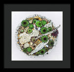 Load image into Gallery viewer, Cacti Collection 1 - Framed Print
