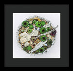 Load image into Gallery viewer, Cacti Collection 1 - Framed Print

