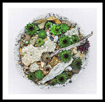 Load image into Gallery viewer, Cacti Collection 1 - Framed Print
