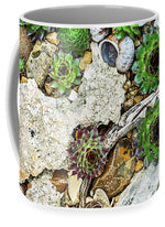 Load image into Gallery viewer, Cacti Collection 1 - Mug
