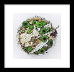 Load image into Gallery viewer, Cacti Collection 1 - Framed Print
