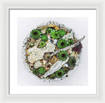 Load image into Gallery viewer, Cacti Collection 1 - Framed Print
