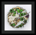Load image into Gallery viewer, Cacti Collection 1 - Framed Print
