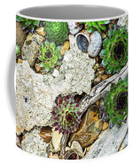 Load image into Gallery viewer, Cacti Collection 1 - Mug
