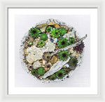 Load image into Gallery viewer, Cacti Collection 1 - Framed Print
