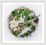 Load image into Gallery viewer, Cacti Collection 1 - Framed Print
