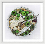 Load image into Gallery viewer, Cacti Collection 1 - Framed Print
