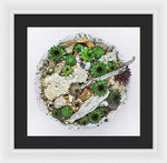 Load image into Gallery viewer, Cacti Collection 1 - Framed Print
