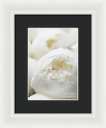 Load image into Gallery viewer, Close up of Peonies - Framed Print
