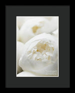 Load image into Gallery viewer, Close up of Peonies - Framed Print
