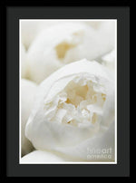 Load image into Gallery viewer, Close up of Peonies - Framed Print
