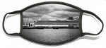 Load image into Gallery viewer, Cruise Ship Drama - Face Mask
