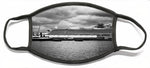 Load image into Gallery viewer, Cruise Ship Drama - Face Mask
