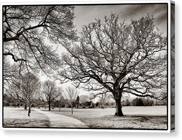 Dulwich Park - Canvas Print