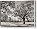 Load image into Gallery viewer, Dulwich Park - Canvas Print
