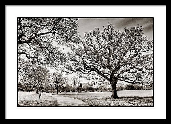 Dulwich Park - Framed Print