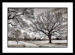 Load image into Gallery viewer, Dulwich Park - Framed Print
