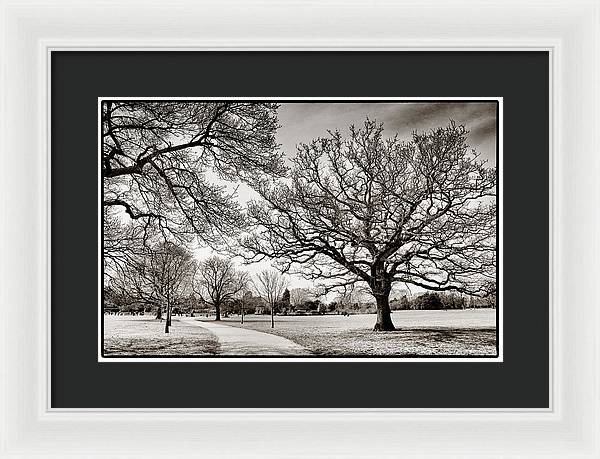 Dulwich Park - Framed Print