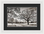 Load image into Gallery viewer, Dulwich Park - Framed Print
