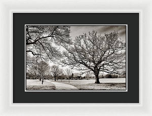 Dulwich Park - Framed Print