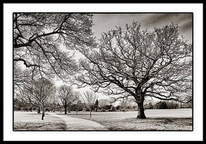 Dulwich Park - Framed Print