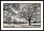 Load image into Gallery viewer, Dulwich Park - Framed Print
