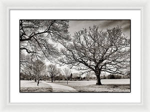 Dulwich Park - Framed Print