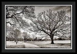 Load image into Gallery viewer, Dulwich Park - Framed Print
