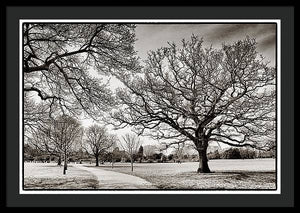 Dulwich Park - Framed Print