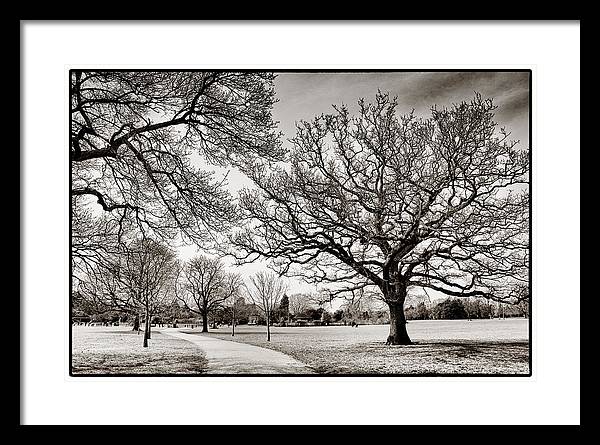 Dulwich Park - Framed Print