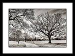 Load image into Gallery viewer, Dulwich Park - Framed Print
