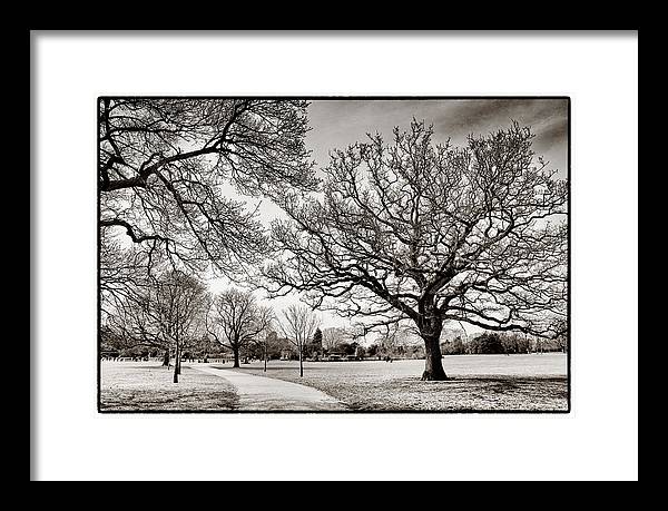 Dulwich Park - Framed Print