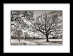 Load image into Gallery viewer, Dulwich Park - Framed Print
