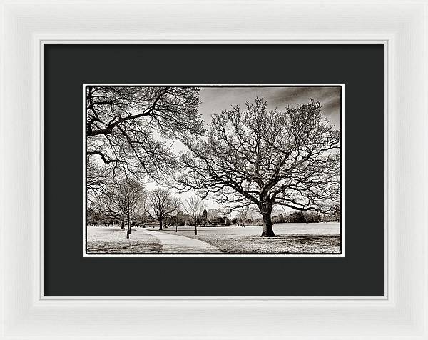 Dulwich Park - Framed Print