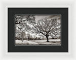 Load image into Gallery viewer, Dulwich Park - Framed Print
