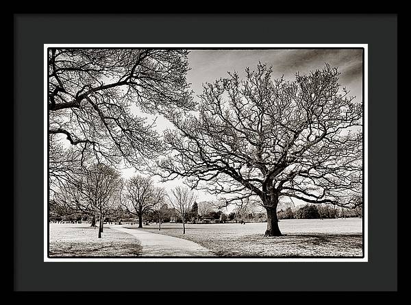 Dulwich Park - Framed Print