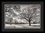 Load image into Gallery viewer, Dulwich Park - Framed Print
